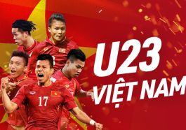 lịch thi đấu đội tuyển Việt Nam